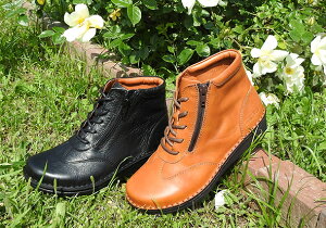 HPS@hps@O@NC@R@u[c@Ȃ@No.10733iubNAnj[uEjSnQ̃V[gu[c| yȌC@@s@ɗD@v@JWA@RtH