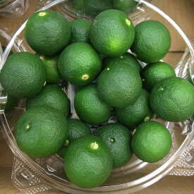 香り豊かで新鮮なハウスすだち8玉～10玉パック入り