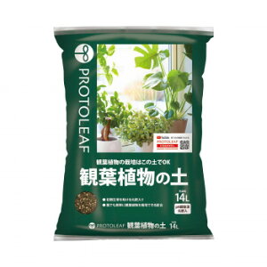 プロトリーフ 観葉植物の人気商品 通販 価格比較 価格 Com プロトリーフ 観葉植物の人気商品 通販 価格比較 価格 Com