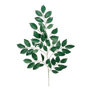 榊 花 農業資材 ガーデニング用品の人気商品 通販 価格比較 価格 Com