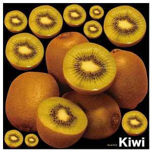 キウイ プレゼント ホビーの人気商品 通販 価格比較 価格 Com