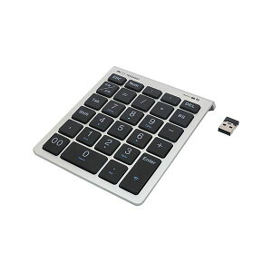 �y���������z�i�J�o���V �~���V2.4GHz���C�����X�e���L�[ �V���o�[ TEN24G03�^SL 1��