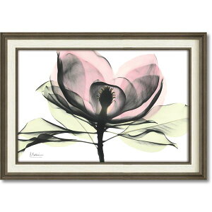 ���[�p���[ X-RAY�L�����o�X�A�[�g �u�s���N�}�O�m���A�v(M�T�C�Y)