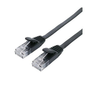 yziJoV ~VCAT.6A LANP[u tbg ubN 10m C6A-F10BK 1{