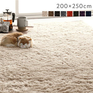 【送料無料】ラグマット 絨毯 約200×250cm 約3畳 アイボリー 長方形 洗える 洗濯機対応 滑り止め付き 軽量 持ち運び便利 ホットカーペット対応 オールシーズン対応 折りたたみ収納可 シャギー