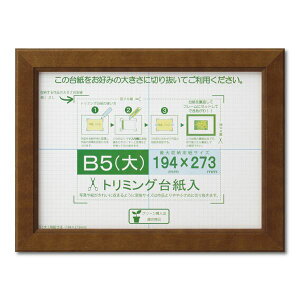 yz܏z Gz |X^[z Rs[p g~Opt SP B5ij [@F194×273mm uE z z t[