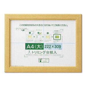 yz܏z Gz |X^[z Rs[p g~Opt SP A4ij [@F222×309mm i` z z t[