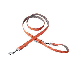 yzpR \tgXLbv[h SS bh iybgpiEpj