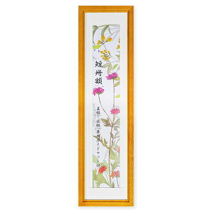 yzk Zpz l [3ނ[ł Zt[ ZFpz cp t[ z z