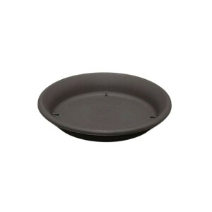 (܂Ƃ) M OCbVuE 6 y×10Zbgz