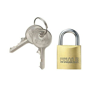 yzTTvC eZLeBi}X^[L[Ή싞j  SLE-2LMN 1