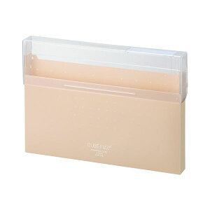 yz(܂Ƃ߁jqgu CUBE FIZZROXP[X A4 x[W A-6024-16 1y×30Zbgz