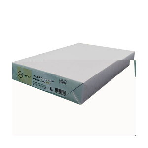 yzy܂Ƃ߁z J[y[p[A4  500 A262J-1 y×2Zbgz