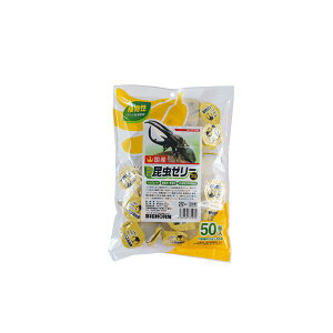 yzi܂Ƃ߁jKBt@[[[v 50 t[h y×2Zbgzysz