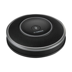 yz}nYVC-1000pg}CN YVC-MIC1000EX 1