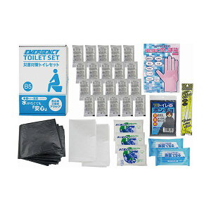 yzЊQ΍gCZbg20 B1110539