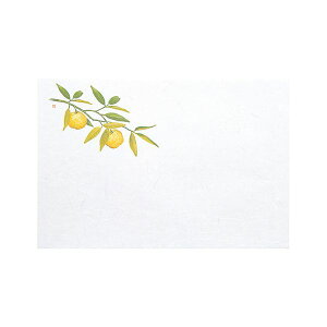 yz}R[ p Ɩp 3_a΂܂ ͒W Mq (100) yamaco65051