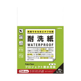 【送料無料】オキナ プロジェクト耐水用紙A3 耐洗紙無地 PW3254 生活用品・インテリア・雑貨 文具・オフィス用品 ノート・紙製品 その他のノート・紙製品 レビュー投稿で次回使える2000円クーポン全員にプレゼント