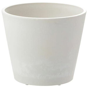 yzy2Zbgz b`F {^j[ nCh|bg 19^ zCg