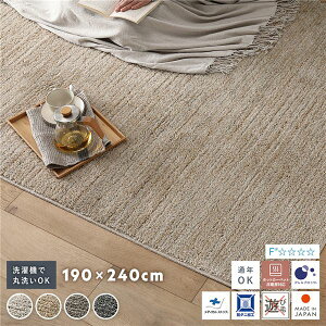 yz~bNXpC O 190×240cm x[W 􂦂 EHbVu { Y y y h_j h AubN Vііh~ I[V[Y ʔN g[ zbgJ[yb
