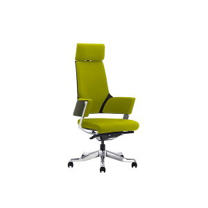 ItBX`FA 65.5cm nCobN I[u LX^[t It DELPHIII t@ubN CeAƋ giysz