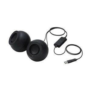 �y���������z�X�s�[�J�[Sina Type-C SP-P10CUSBBK