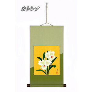 yzF| | k JR JgA l F57cm ւ {