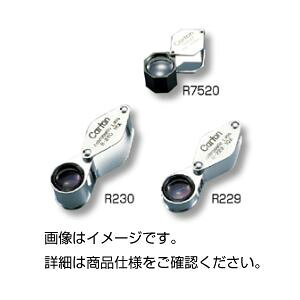 ΊӒp[yR229