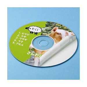 (まとめ)サンワサプライ インクジェットDVD/CDラベル(つやなしマット) LB-CDR001N【×10セット】
