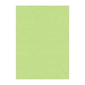 i܂Ƃ߁j ^ j[J[R lc 392×c542mm 4NCR-243 킩 100 y×2Zbgz