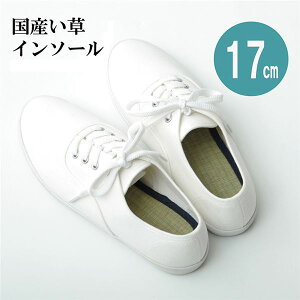 yz C\[/~ ylCr[ WjA 17cmz L x   kC V[Y Xj[J[ ^Clysz