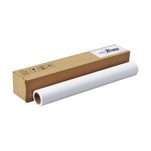 �y���������z�Z�[���� ��dex �|���W�N���X432mm×20m L583-208-HS30 1�{