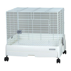 yzC[W[z[ G{ 60-WH(XmRdl)iybgpij