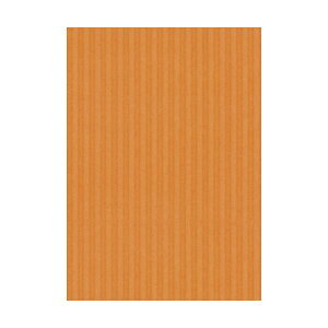 【送料無料】(まとめ) ヒサゴ リップルボード 薄口 A4オレンジ RBU06A4 1パック(3枚) 【×50セット】