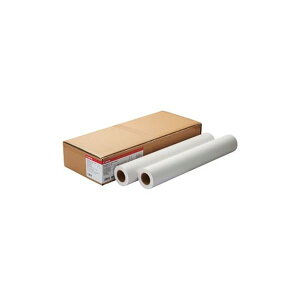 【送料無料】(まとめ)キヤノン スタンダード普通紙2LFM-PPS2/36/64 36インチロール 914mm×50m 8738B002 1箱(2本)【×3セット】
