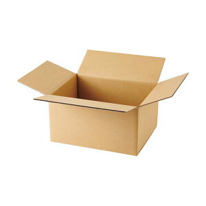 TANOSEE 無地ダンボール箱 B4ワイド判対応サイズ 高さ220mm 1セット(20枚:10枚×2パック)