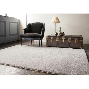 �y���������z�h�� ���O�}�b�g/�O�~ �y�]�ˊ�10�� �V���o�[�z �z�b�g�J�[�y�b�g�Ή� ���{�� �w�W�F�C�h�x �v���[�x���y����s�z