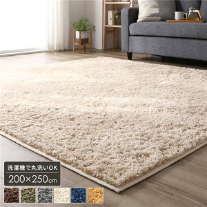 yzVM[ O }bg 3 200×250cm ` x[W g[ zbgJ[ybgΉ 􂦂 ɂH ۉH I[V[Y Ngp\ RpNg[ EHb