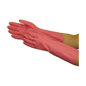 yzaR[|[V g[u Ɩp t[ sN M 704-M 1pbN(20o)