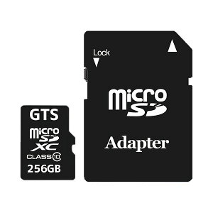 yzGTS hCuR[_[microSDXCJ[h 256GB GTMS256DPSAD 1