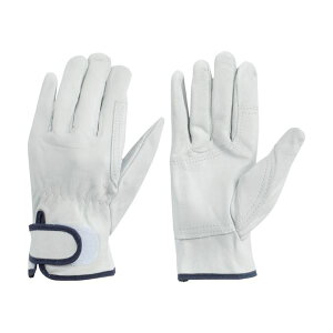 yzaR[|[V \v W[E n L zCg 475E-L 1(10o)