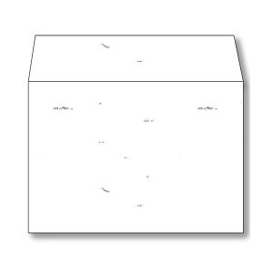 yzi܂Ƃ߁j 剮X aݎ m2105g^m2  p it-451 1pbNi50j y×5Zbgz