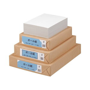 (まとめ) TANOSEE ボール紙 B4 1パック(100枚) 【×10セット】