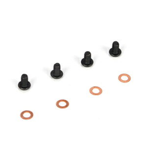 �C�[�O���͌^ Bleeder Shock Cap Screw & Washers(4): 22/22T #TLR5066