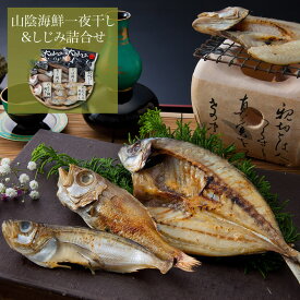 一夜干し 海鮮 セット しじみ 詰め合わせ ギフト 贈答用 贈答品 干物 魚 グルメ 食べ物 お土産 山陰/ 山陰海鮮一夜干し&しじみ詰め合わせ