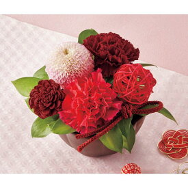 母の日 花 生花アレンジメント(花てまり) TA-7 カーネーション メッセージカード付 贈り物 プレゼント