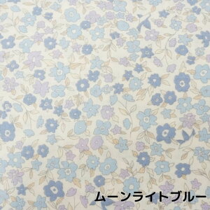 { _uK[[ 50×100cm 100×100cm 155×100cm JbgNX ԕvg RR