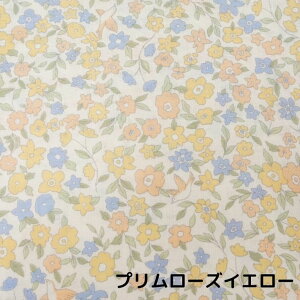 { _uK[[ 50×100cm 100×100cm 155×100cm JbgNX ԕvg RR