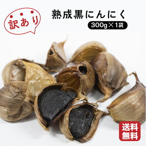 yzyIz 󂠂 xRY nɂɂ300g@Y@fsz@܂@ቷn