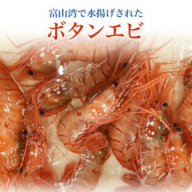 ボタンエビ 送料無料 海老 エビ 塩焼き 酒の肴 ご飯のお供 珍味 富山 お祝い ごちそう 刺身 お祝い 五本水産 お取り寄せ グルメ 富山湾 海鮮 業務用 業者様向け 法人 飲食店向け ご自宅用 ギフト 贈り物 大容量 お得用 お取り寄せグルメ
